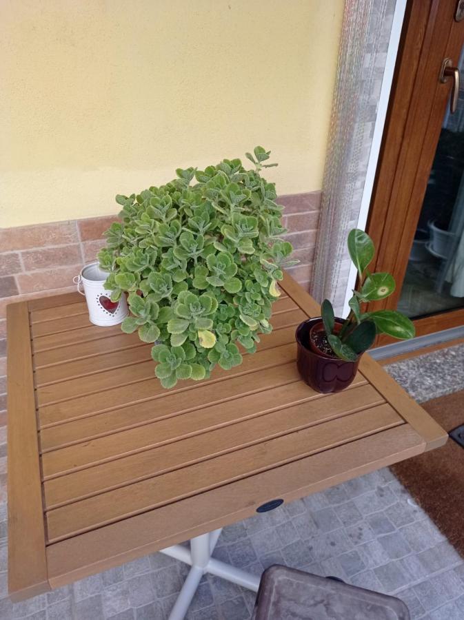 I Nuraghi II Apartment Cagliari Bagian luar foto